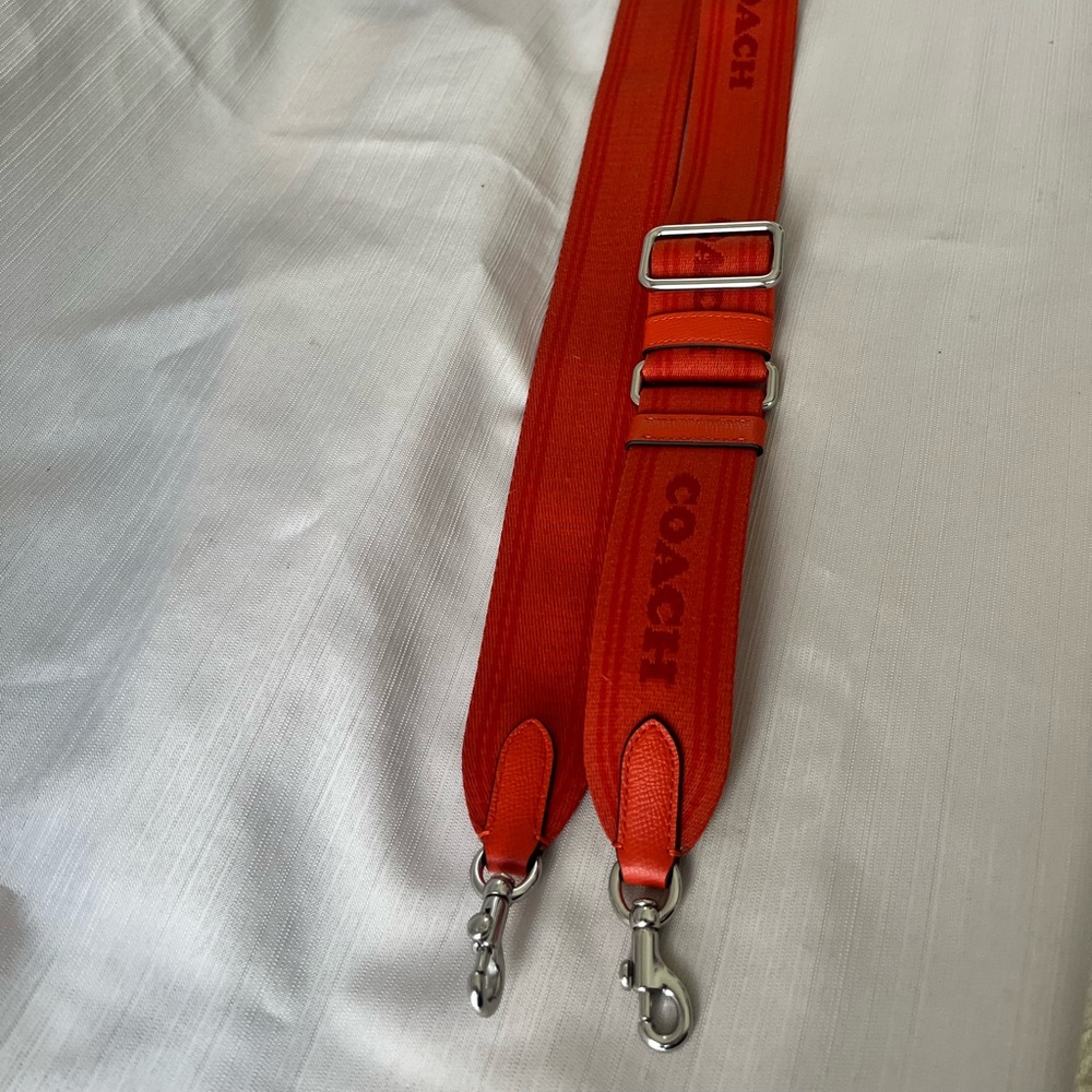 Coach canvas webbing strap